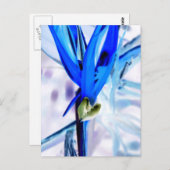 Blauer Vogel des Paradieses Postkarte (Vorne/Hinten)