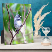 Blauer Vogel Fotoplatte (Seite)