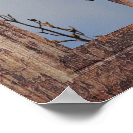 Blauer Vogel im Fenster Poster (Ecke)