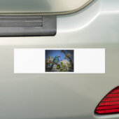 Blauer Vogel in Blossom Autoaufkleber (Auf Auto)