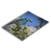 Blauer Vogel in Blossom Notizblock (Linke Seite)