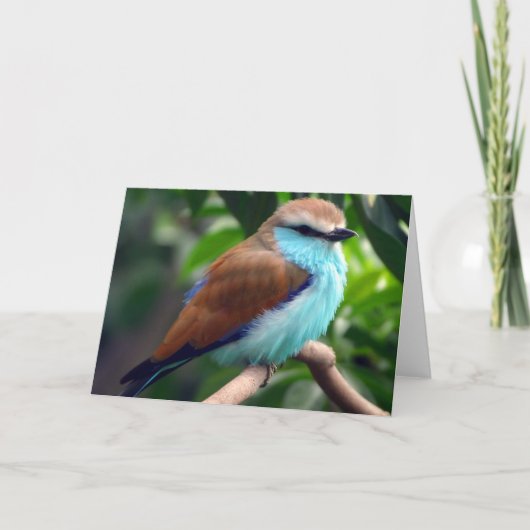 Blauer Vogel Karte (Vorderseite)