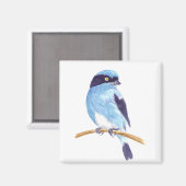 Blauer Vogel Magnet (Vorderseite/Rückseite)