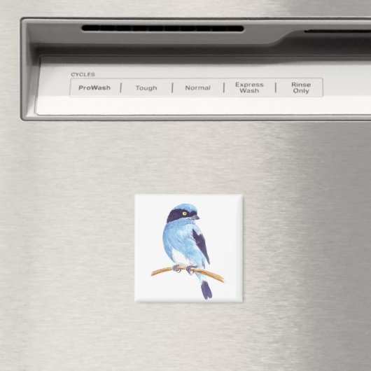 Blauer Vogel Magnet (In Situ (Geschirrspüler))