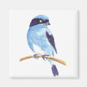 Blauer Vogel Magnet (Vorne)