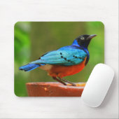 Blauer Vogel Mousepad (Mit Mouse)