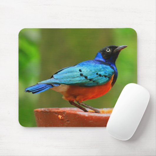 Blauer Vogel Mousepad (Mit Mouse)