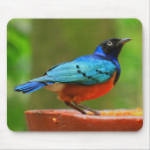 Blauer Vogel Mousepad (Vorne)