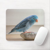 Blauer Vogel Mousepad (Mit Mouse)