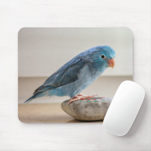 Blauer Vogel Mousepad (Mit Mouse)