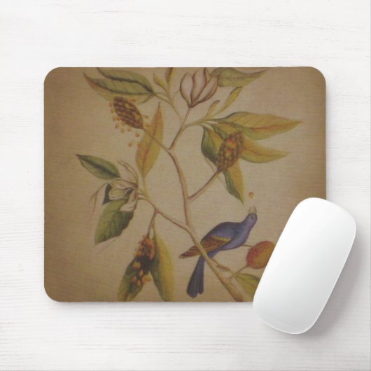 Blauer Vogel ~ Mousepad (Mit Mouse)