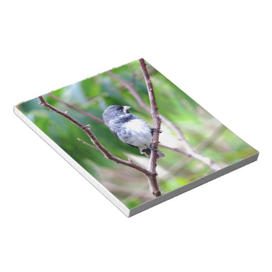 Blauer Vogel Notizblock (angewinkelt)