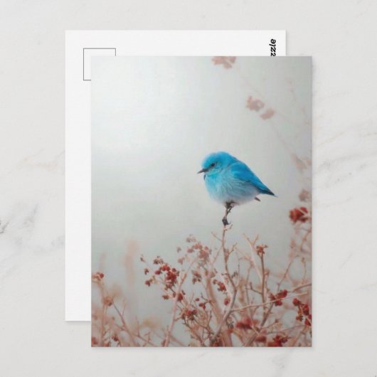Blauer Vogel Postkarte (Vorne/Hinten)