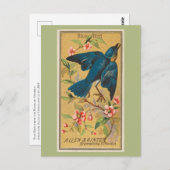 Blauer Vogel Postkarte (Vorne/Hinten)