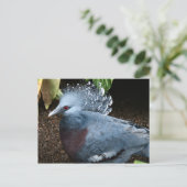 Blauer Vogel Postkarte (Stehend Vorderseite)