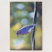 Blauer Vogel Puzzle (Vertikal)