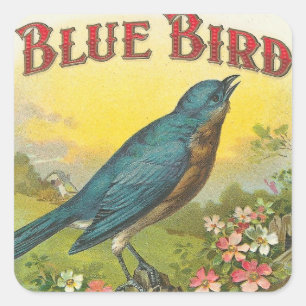 Blauer Vogel Quadratischer Aufkleber