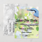 Blauer Vogel Save the Date Ankündigungspostkarte (Vorne/Hinten)