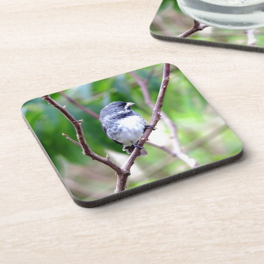 Blauer Vogel Untersetzer (Linke Seite)