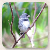 Blauer Vogel Untersetzer (Vorderseite)