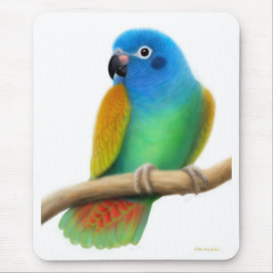 Blauer vorangegangener Pionus Papagei Mousepad