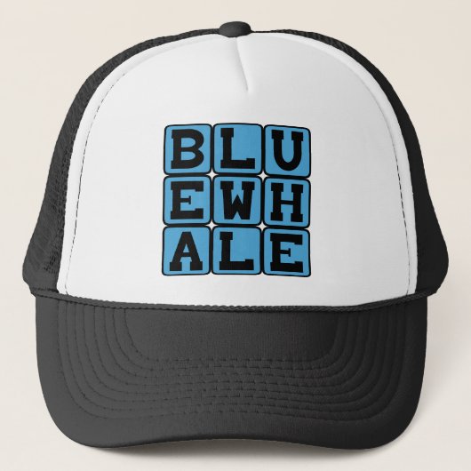 Blauer Wal, Meeressäugetiere Truckerkappe (Vorderseite)