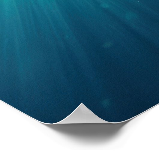 Blauer Wal unter Wasser Klein Poster (Ecke)