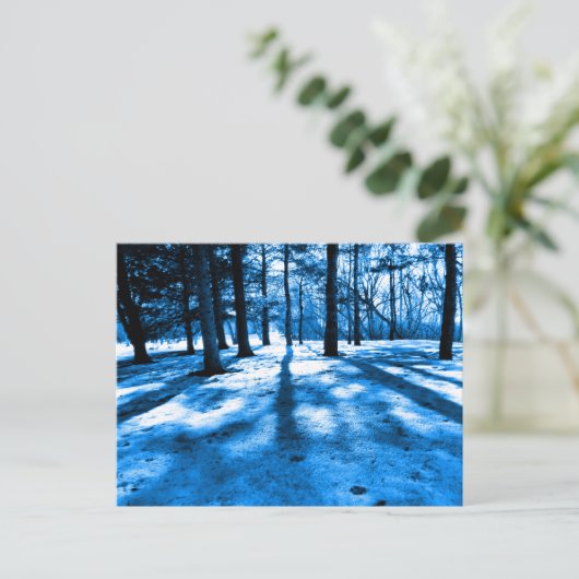 Blauer Wald Bäume Schatten und Licht Postkarte (Stehend Vorderseite)