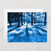 Blauer Wald Bäume Schatten und Licht Postkarte (Vorne/Hinten)