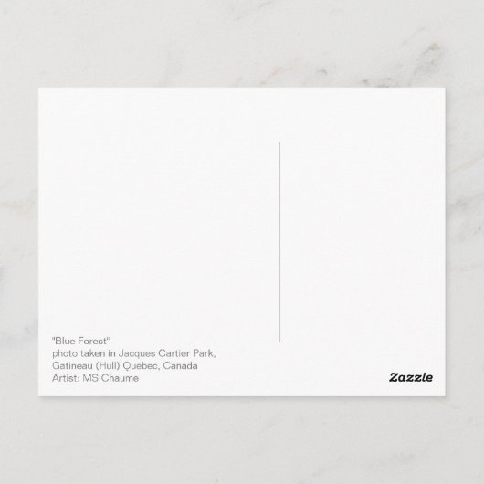 Blauer Wald Bäume Schatten und Licht Postkarte (Rückseite)