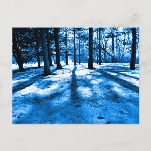 Blauer Wald Bäume Schatten und Licht Postkarte (Vorderseite)