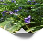 Blauer Wald mit Blauglockenblumen Poster (Ecke)