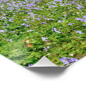 Blauer Wald mit Blauglockenblumen Poster (Ecke)