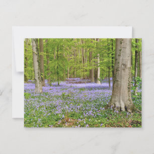 Blauer Wald mit Blauglockenblumen Postkarte