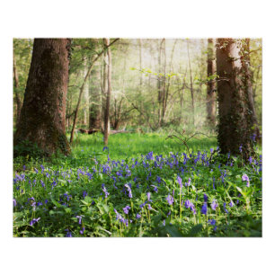 Blauer Wald mit bläulichen Blume Poster