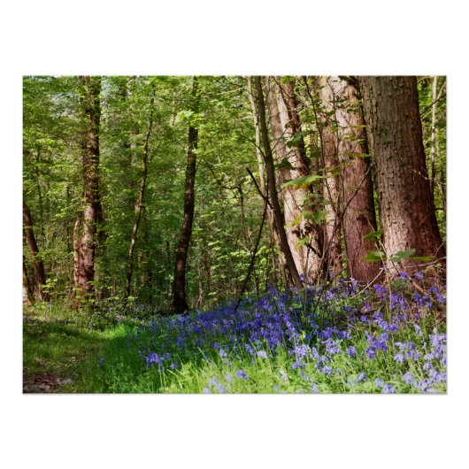 Blauer Wald mit bläulichen Blume Poster (Vorderseite)