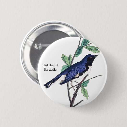 Blauer Warbler, Audubon, Vogel-Button, Button (Vorne & Hinten)