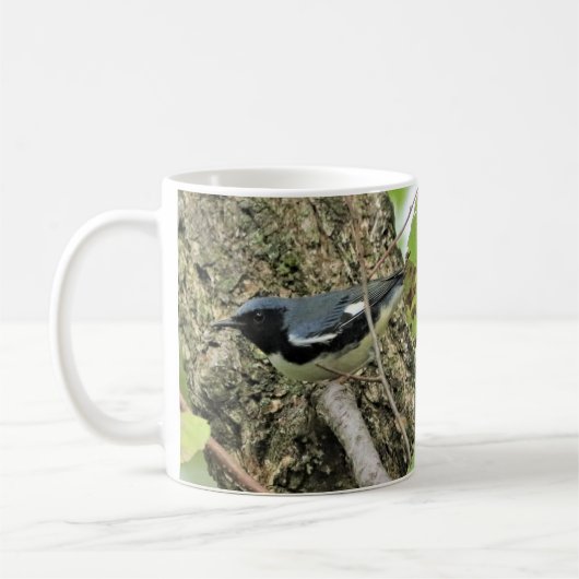 Blauer Warbler-Kaffee-Tasse Kaffeetasse (Links)