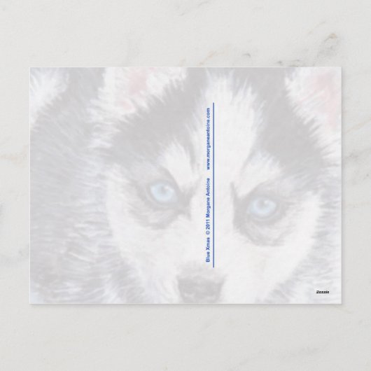 Blauer Weihnachtshundchen Weihnachtskarten Feiertagspostkarte (Rückseite)