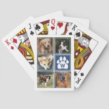 Blauer weißer Hundepferd Fotomaterial