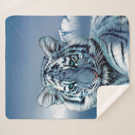 Blauer weißer Tiger Sherpadecke (Vorderseite (Horizontal))