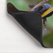 Blauer Wels Mousepad (Ecke)