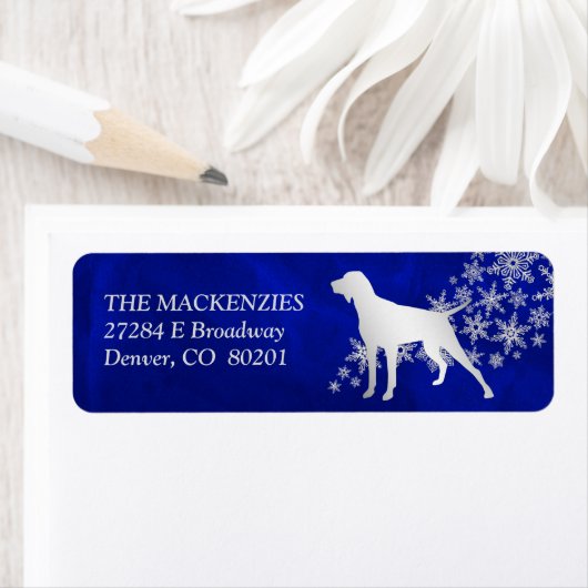 Blauer Winter Kurzzeitiger Zeiger Rücksendeadresse (Insitu)