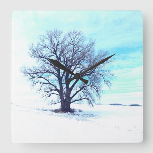 Blauer Winter Quadratische Wanduhr (Vorderseite)