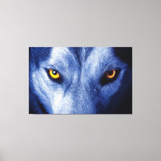 Blauer Wolf mit schönen Augen Leinwand Art (Vorderseite)