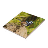 Blauer Zaunkönig Fliese (Seite)