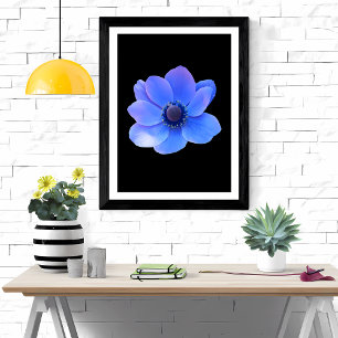 Blaues Anemon fesselnd Fotodruck