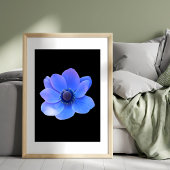 Blaues Anemon fesselnd Fotodruck