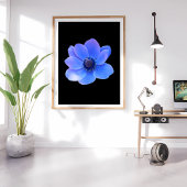 Blaues Anemon fesselnd Fotodruck