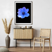 Blaues Anemon fesselnd Fotodruck